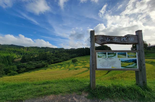 大山千枚田