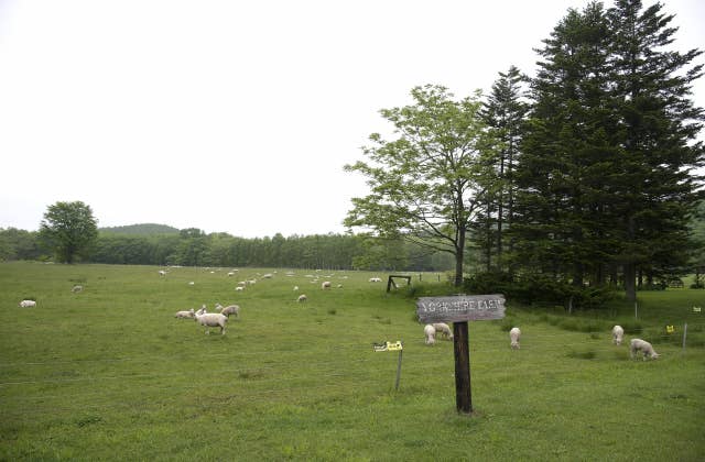 YORKSHIRE FARM