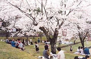 愛宕山公園