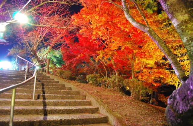 曽木の滝公園 紅葉
