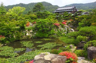 毛利氏庭園つつじ4