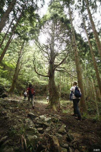 歴史の道100選「宮津街道大江山普甲峠越え」