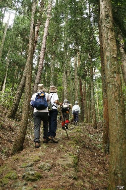 歴史の道100選「宮津街道大江山普甲峠越え」