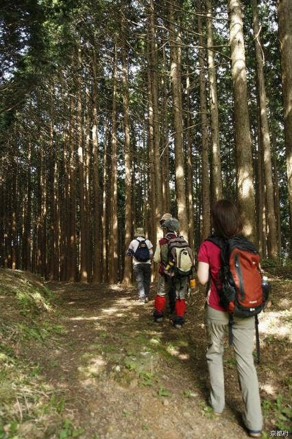 歴史の道100選「宮津街道大江山普甲峠越え」