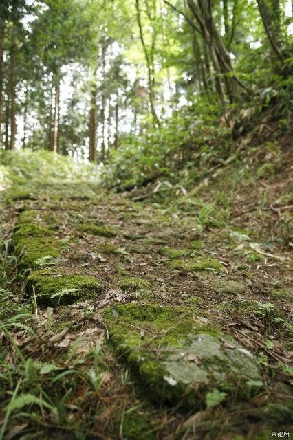 歴史の道100選「宮津街道大江山普甲峠越え」