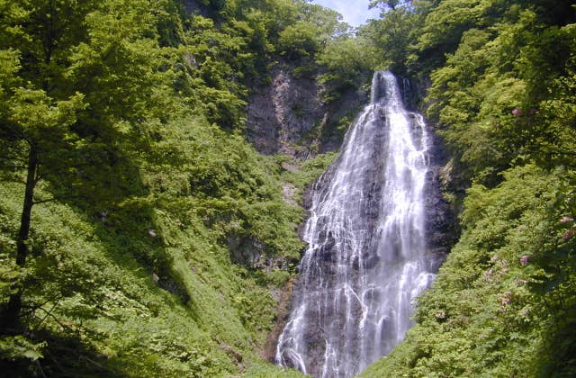 夏のくろくまの滝