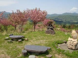 林道途中の谷川新田では、春になると八重千本桜を見ることができ
