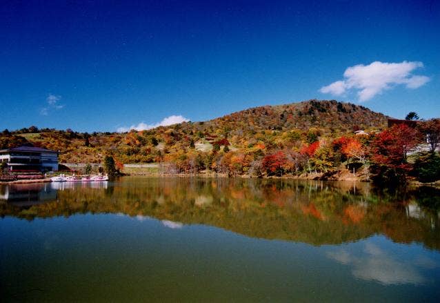 秋の茶臼山高原