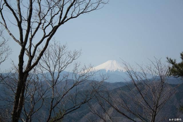 馬頭刈山から望む富士