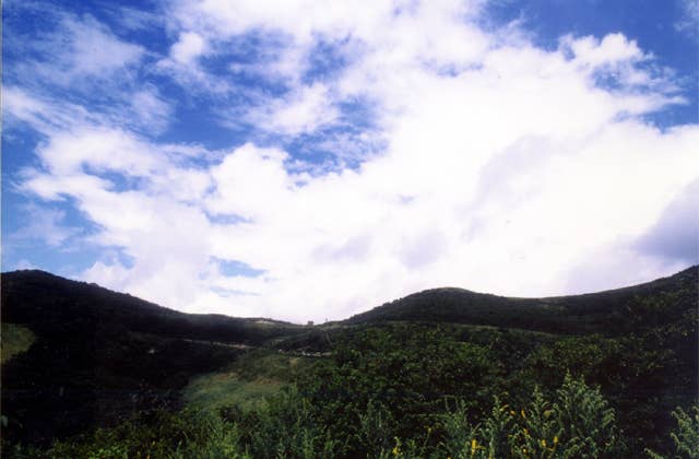 鳩峰高原