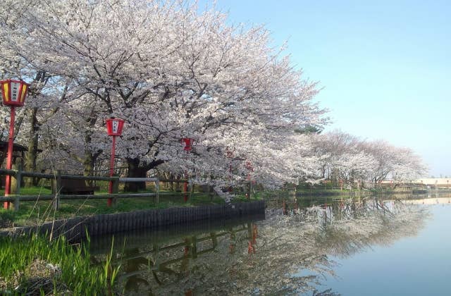 撮影：4月中旬 無風の時は水面が鏡のようになります。