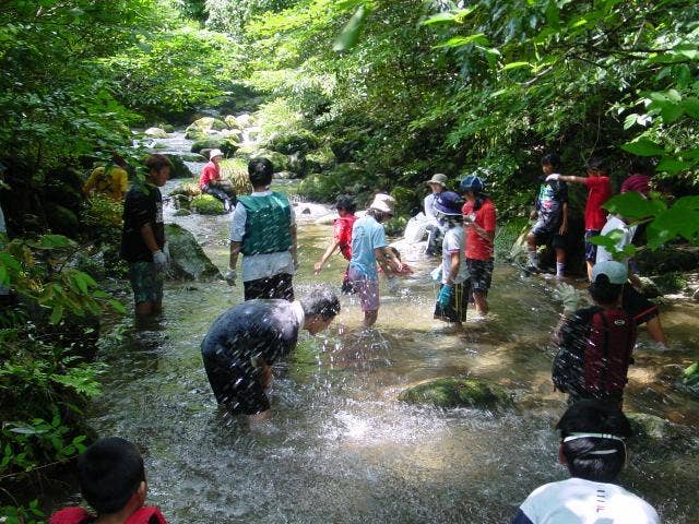 二股川上流