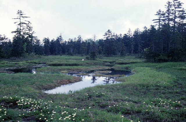 Ukishima
