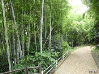 鈴熊山公園