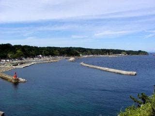 館岩より望む