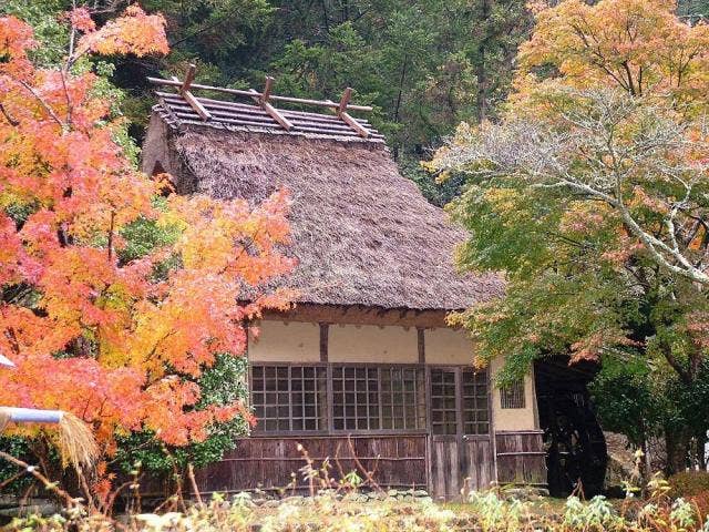 羅漢紅葉水車小屋前