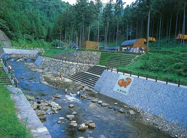 キャンプ場・全景