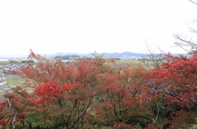 ふるさと芭蕉の森公園