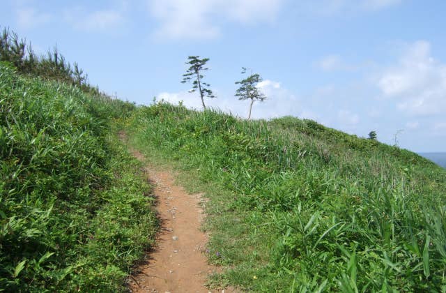 加賀海岸自然遊歩道