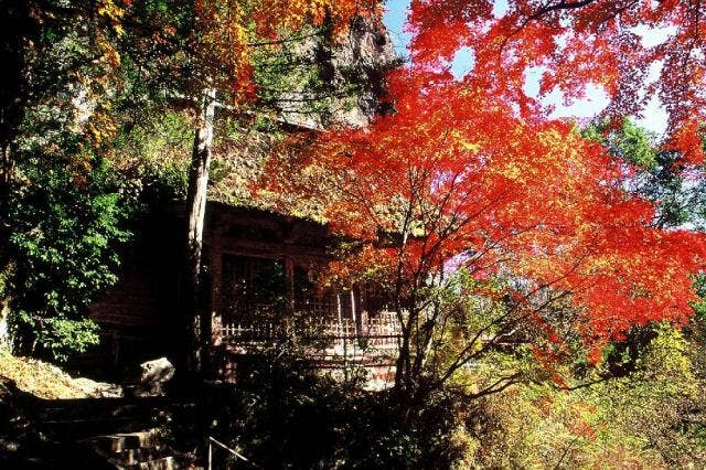 秋の岩屋神社本殿（国重文）