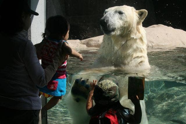 日本平動物園