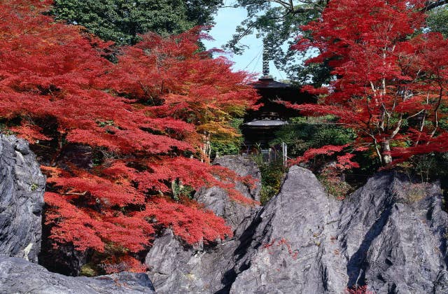 石山寺（硅灰石）