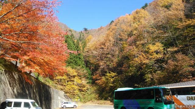 迦葉山の紅葉