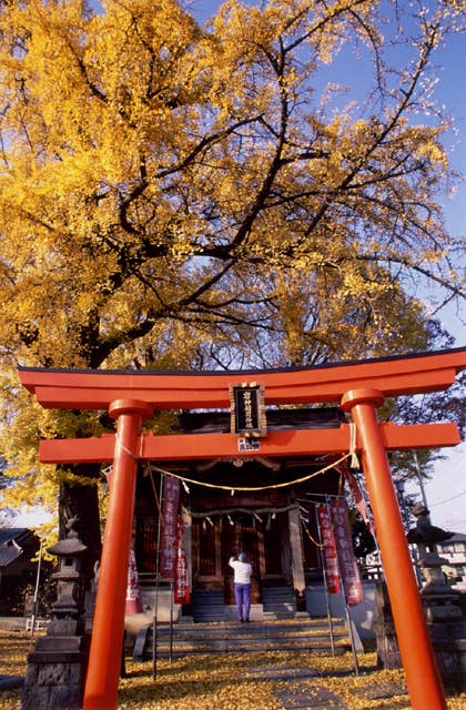 岩神稲荷神社