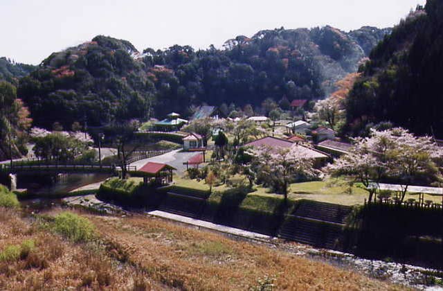 キャンプ場遠景