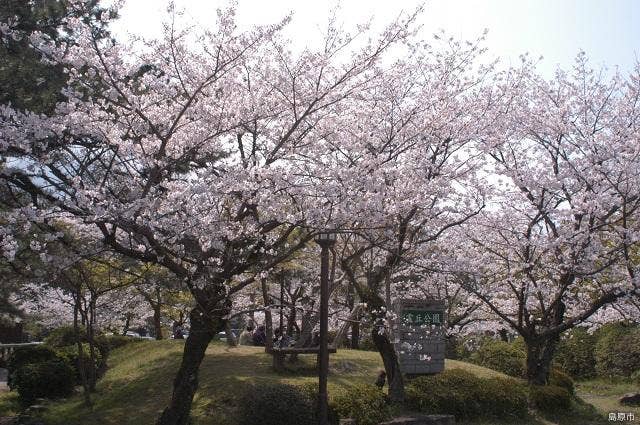 霊丘公園