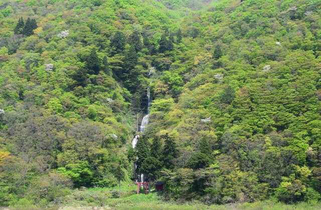 白糸の滝