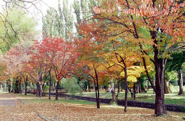 常磐公園