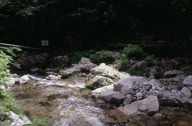 背戸峨廊