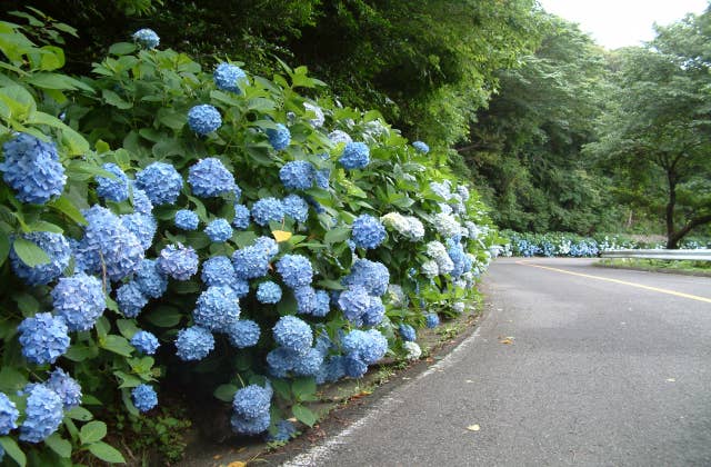 三ヶ根山スカイライン