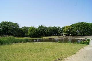 清瀬金山緑地公園