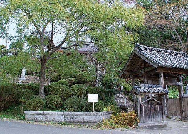 阿弥陀寺