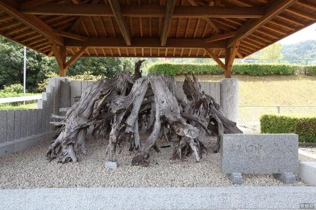 愛南町一本松郷土資料館