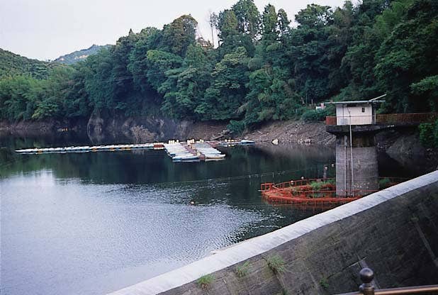 三島湖