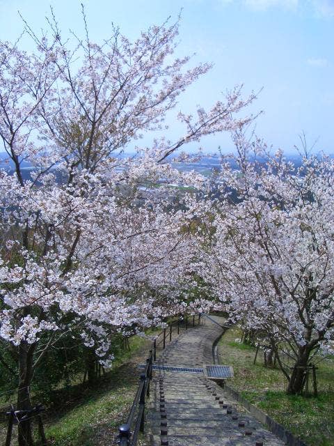 大谷山自然公園