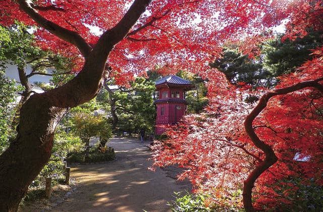 哲学堂公園