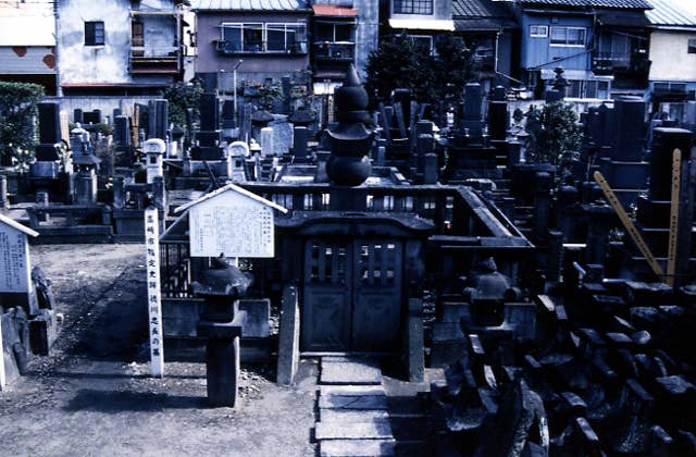 徳川忠長の墓