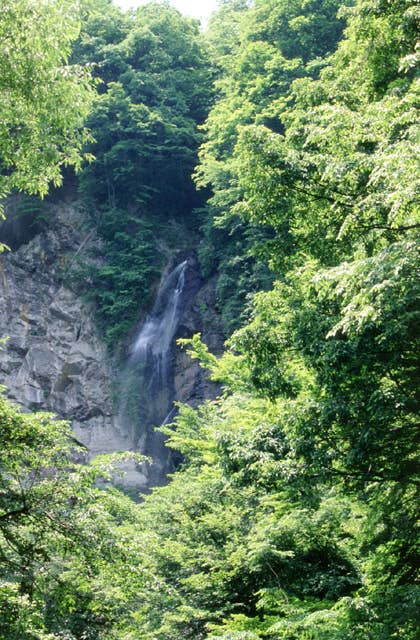 糸瀬の滝（男滝）