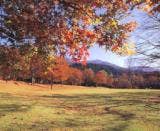 石川県樹木公園