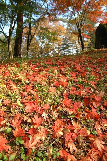 雷山公園