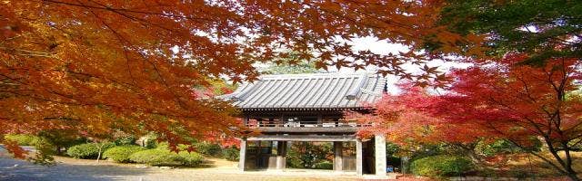 太山寺　紅葉