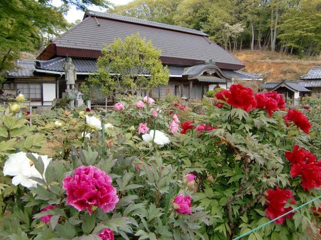 万勝院