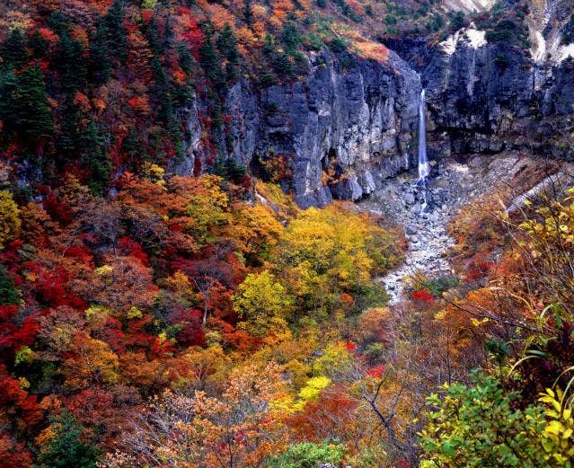 白糸の滝