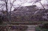 春の米子城跡