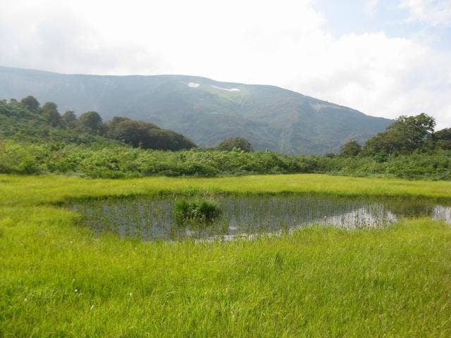 念仏ヶ原湿原