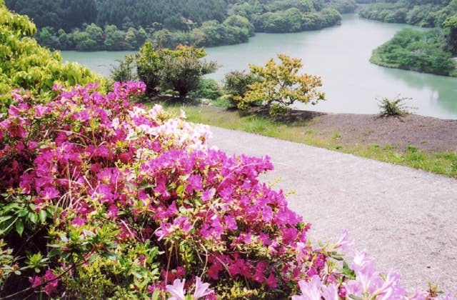 Shiki Dam Park
